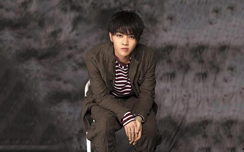 娱乐爆料郑爽和王凯,娱乐圈新CP诞生？  第1张